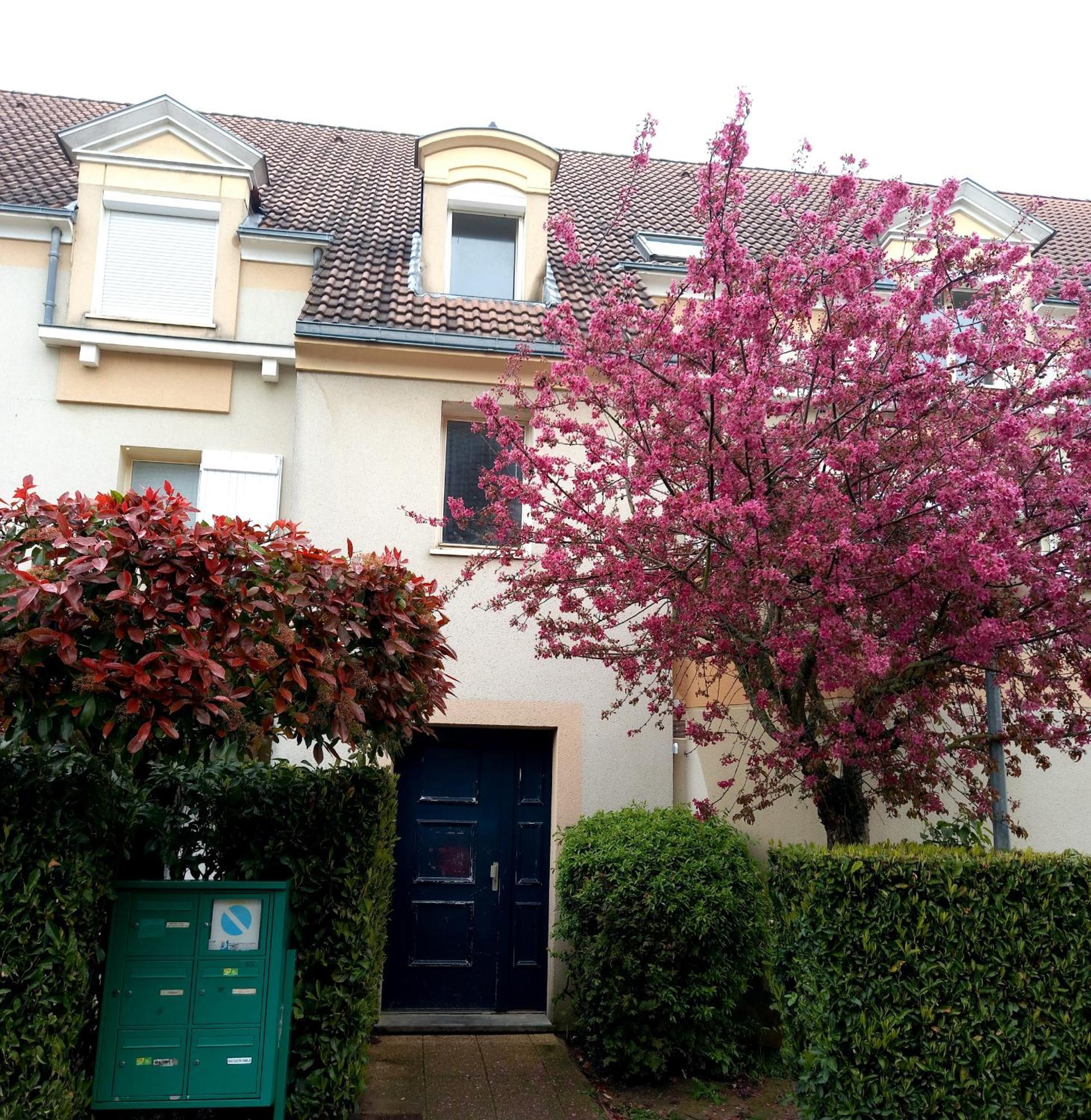 Location Chambre Double Dans Appartement - Cergy Exterior foto